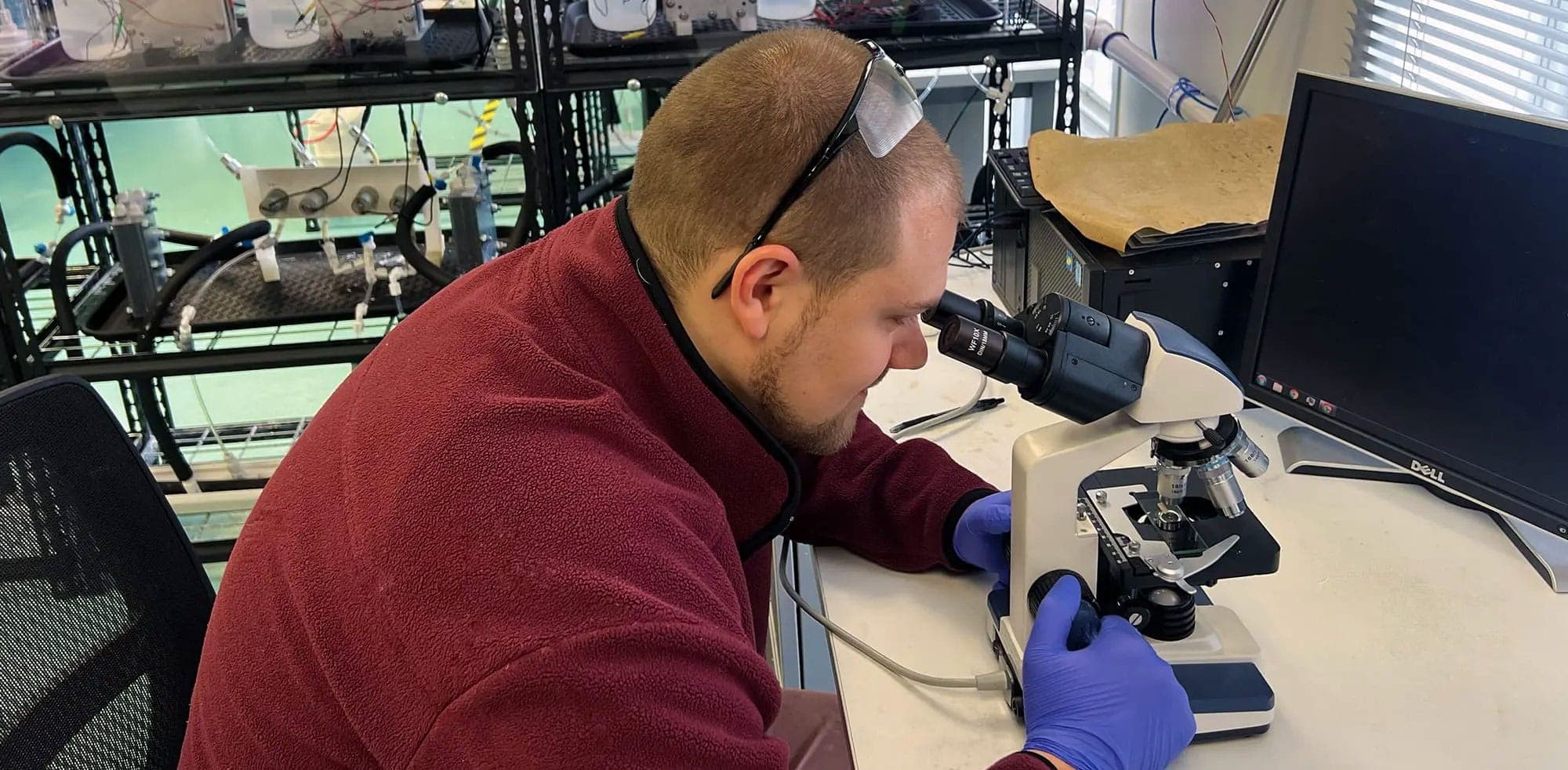 An image of guy looking into microscope