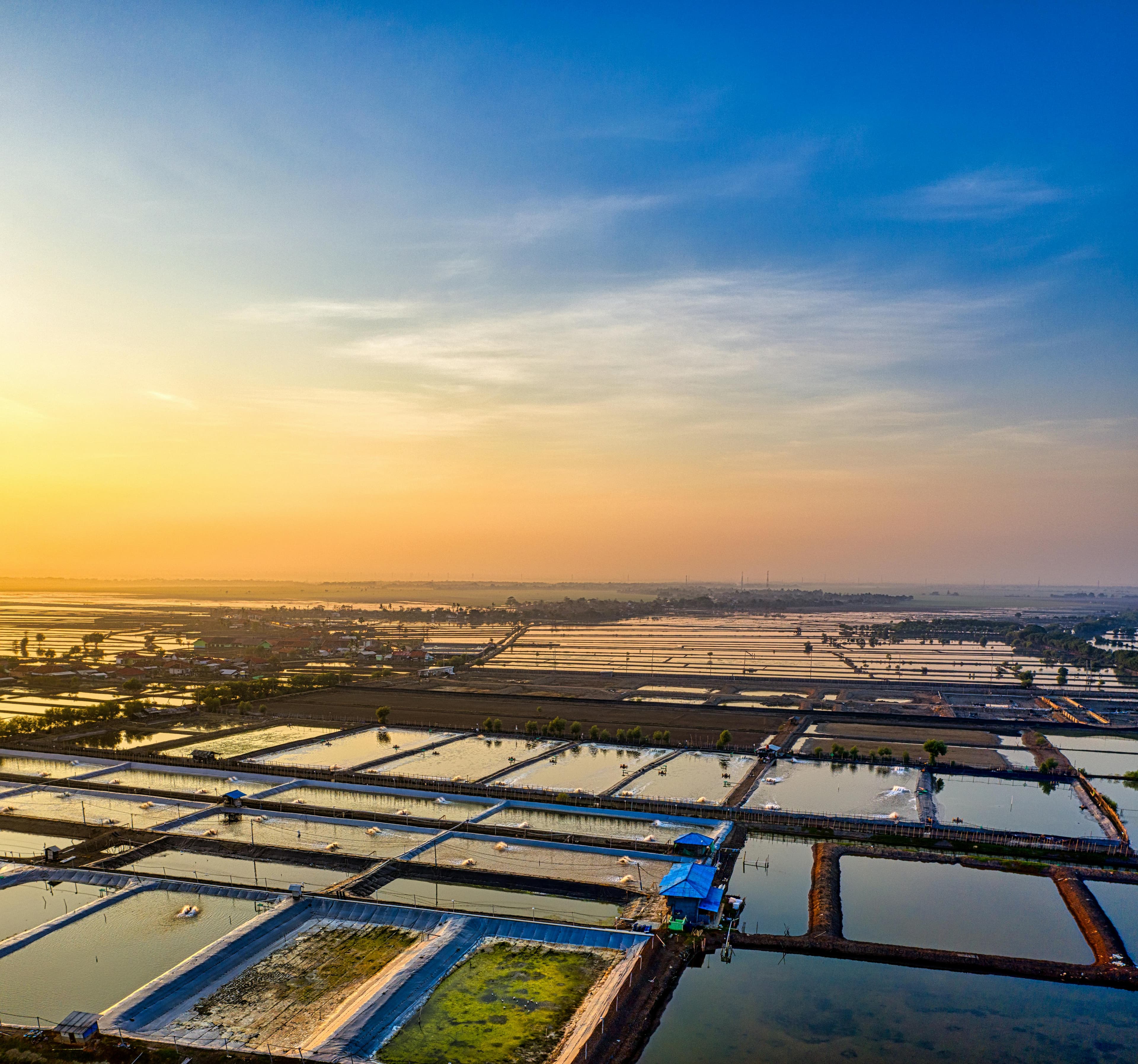 Aquaculture ponds and intensive production facilities